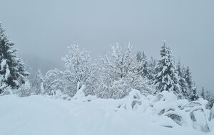 Arrivée du 28/01/2025 -  Prévue à 19h00 à Claix et à Varces et 19h10 à St Paul et Vif