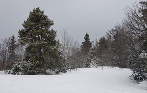 Lundi 21/02/2022 - Lans en Vercors