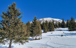 Mercredi 05/02/2025