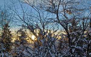 Mercredi 29/01/2025