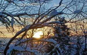 Mercredi 29/01/2025