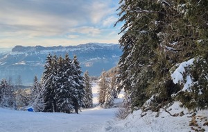 Mercredi 29/01/2025