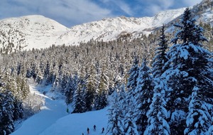 Mercredi 29/01/2025
