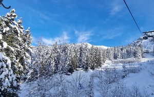 Mercredi 29/01/2025
