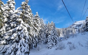 Mercredi 29/01/2025