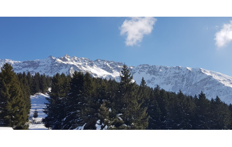 Arrivée du 08/02/2023 - Prévue à 18h45