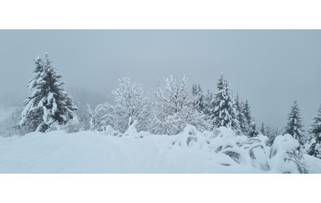 Arrivée du 28/01/2025 -  Prévue à 19h00 à Claix et à Varces et 19h10 à St Paul et Vif