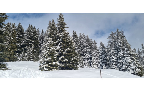 Arrivée du mercredi 11/02/2025 -  Prévue à 18h15 à Varces